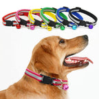 labrador retriever wearing pink collar and pink bell with 6 colour variations above