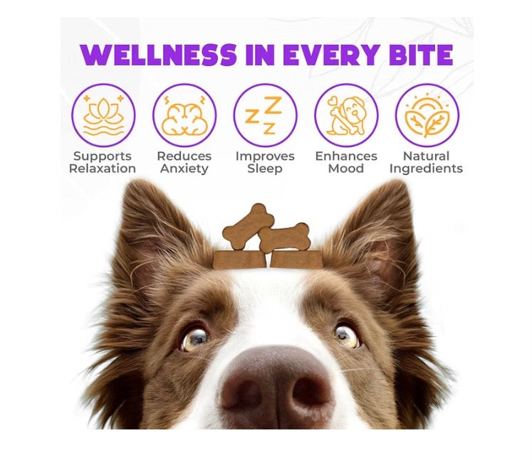 Calming Soft Chews for Dogs