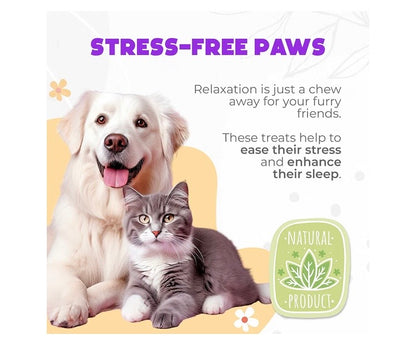 Calming Soft Chews for Dogs